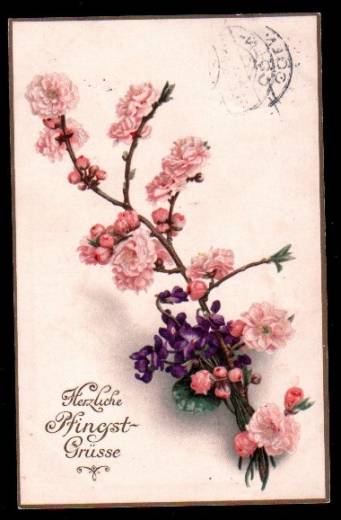 Greeting Card Pentecost, violet, cherry blossoms, Cöln-Hohlweide 1916