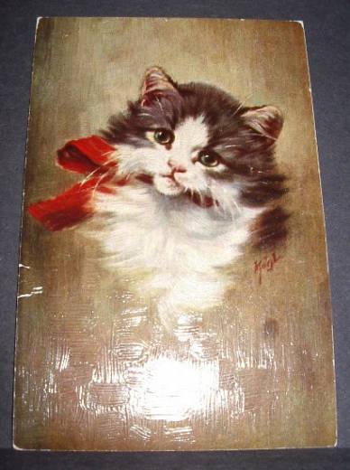 Structure gloss card kitten, ca.1950