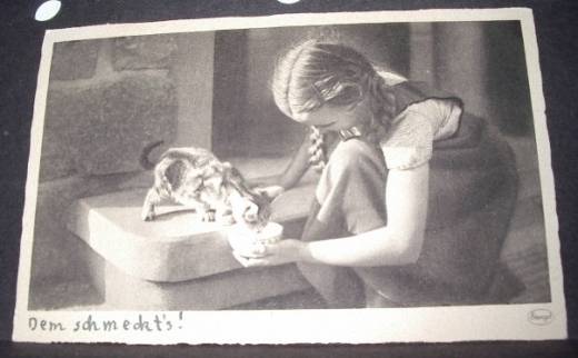 Photo Card, Girl gives kitten milk, ca.1940