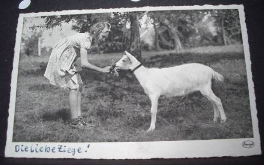 Fotokarte Mädchen füttert Ziege, ca.1940