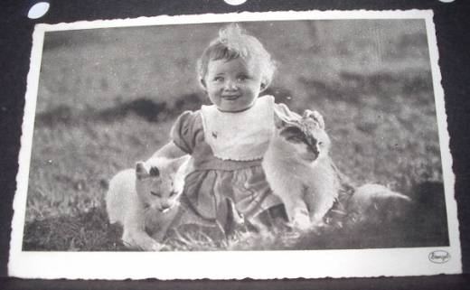 Fotokarte Baby mit Katzen, ca.1940