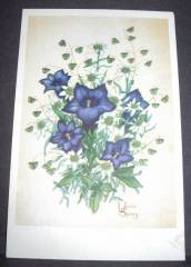 Blumengrußkarte, Enzian, Edelweiß, ca.1940